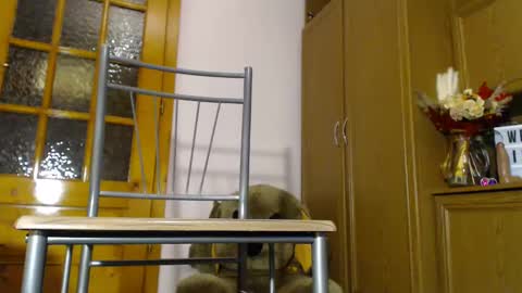 Snapshot of milk_and_hon3y chatting on December 4, 2024, 6:11 am Im to see you here Pvts are open I love patterns soo much online show from December 4, 2024, 6:11 am