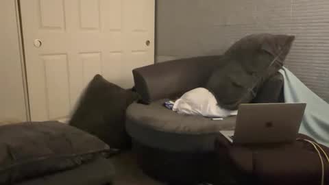 SlimnHungOH online show from December 28, 2024, 5:35 pm