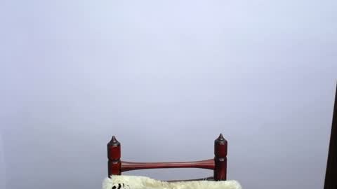 MINATO online show from December 19, 2024, 11:25 pm