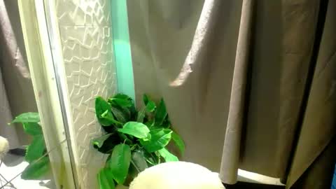 Snapshot of miss_moheera_xxx chatting on May 3, 2026, 2:17 am Moheera online show from May 3, 2026, 2:17 am