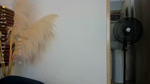 Snapshot of missvalery1 chatting on January 14, 2025, 9:20 pm missvalery1 online show from January 14, 2025, 9:20 pm