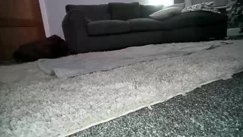 misterycouple12 online show from December 23, 2024, 12:25 am