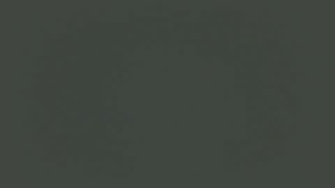 mistxss online show from November 25, 2025, 1:55 pm