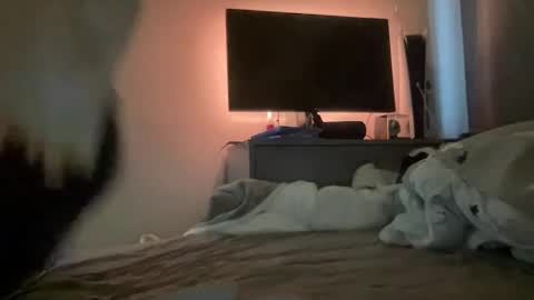 Snapshot of mitchellw7752 chatting on December 31, 2024, 12:57 pm mitchellw7752 online show from December 31, 2024, 12:57 pm