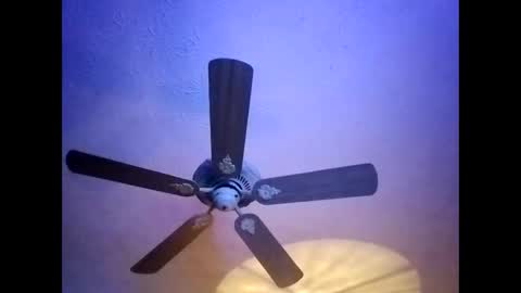 BobbyMitchGa online show from January 20, 2025, 5:59 am