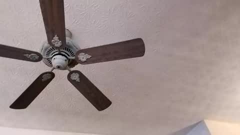 BobbyMitchGa online show from February 23, 2025, 3:40 pm