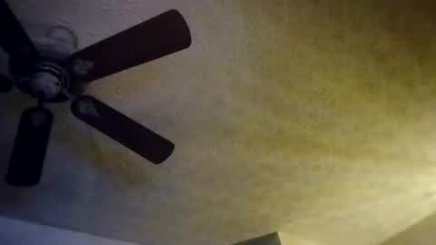 BobbyMitchGa online show from October 10, 2025, 8:13 am