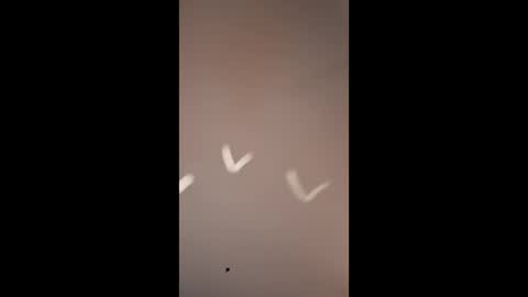 Mike4using online show from March 10, 2026, 10:20 am