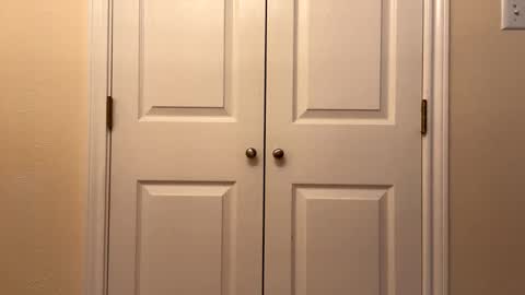 Snapshot of modest6969 chatting on September 8, 2025, 11:48 pm modest6969 online show from September 8, 2025, 11:48 pm