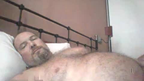 mofu781s online show from December 26, 2024, 2:05 pm