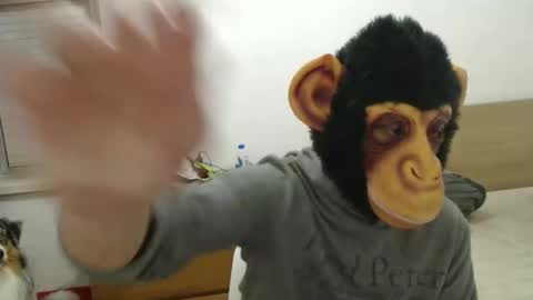 molkreid2 online show from April 5, 2026, 3:04 am