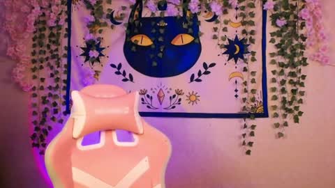 Snapshot of molly_kisss chatting on May 10, 2026, 6:29 am molly_kisss online show from May 10, 2026, 6:29 am