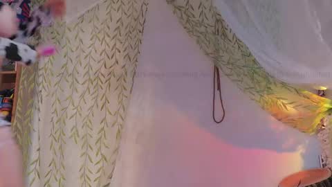 mollychan online show from April 13, 2026, 4:56 pm