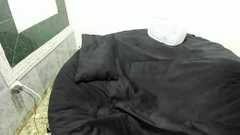 monkeyd_66 online show from February 9, 2025, 2:29 pm