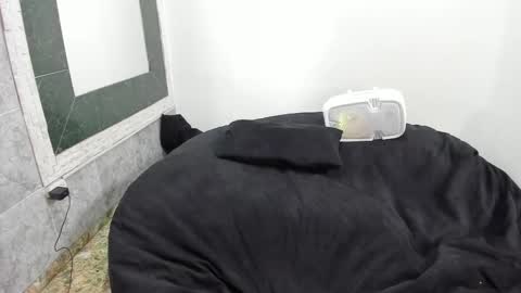 monkeyd_66 online show from February 18, 2025, 9:10 am