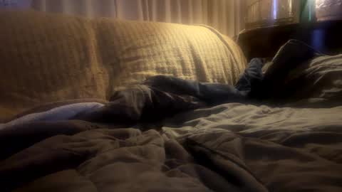 Snapshot of moon_man5 chatting on February 20, 2025, 11:31 am Mitchell online show from February 20, 2025, 11:31 am