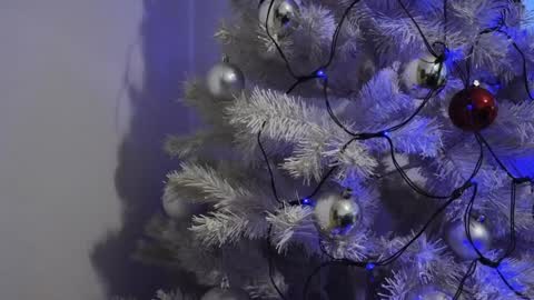   Mona   online show from December 8, 2024, 6:54 am