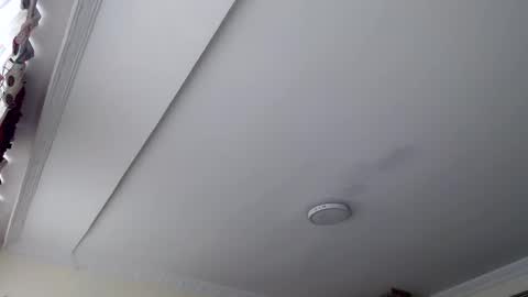 Abelardo online show from October 29, 2025, 3:03 pm