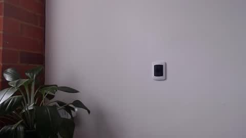 Abelardo online show from April 19, 2026, 3:33 pm