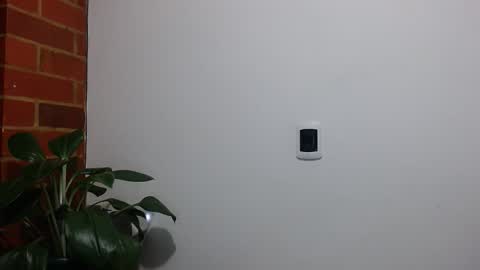 Abelardo online show from April 20, 2026, 4:15 am