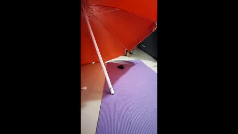 Snapshot of morbucksrica chatting on February 15, 2026, 3:25 am morbucksrica online show from February 15, 2026, 3:25 am