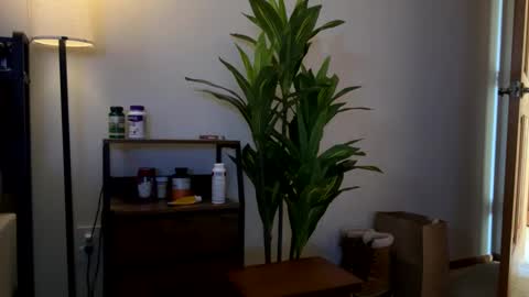 Snapshot of mps908 chatting on February 1, 2026, 8:40 pm Sequoia-Cocked Hombre de Sur online show from February 1, 2026, 8:40 pm