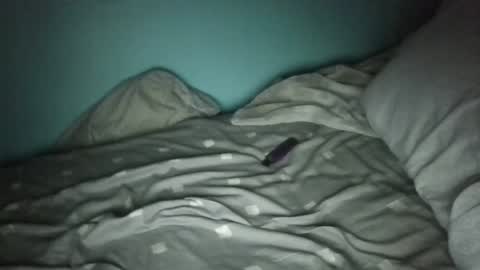 mrbig47xo online show from February 9, 2026, 6:28 am