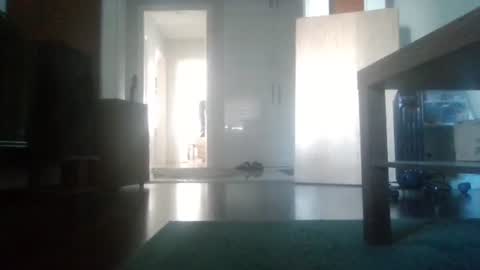 Nikola online show from February 6, 2026, 9:23 am