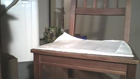 Longshot online show from December 29, 2024, 3:44 am