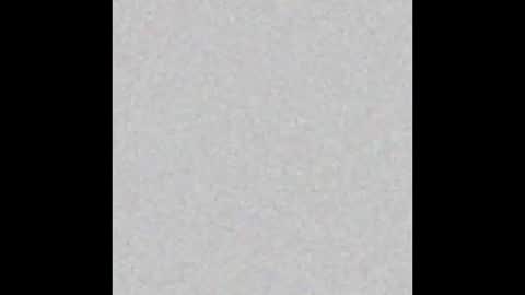 Mr Suction online show from December 19, 2025, 12:01 pm