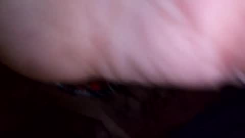 mtnclimber1 online show from April 21, 2026, 6:09 am