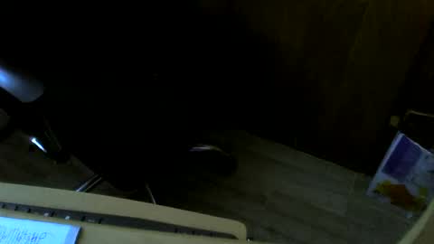 muller520 online show from February 1, 2025, 10:59 am