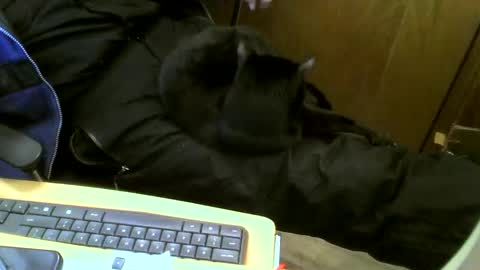 muller520 online show from February 12, 2025, 4:55 pm