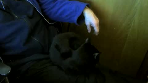 muller520 online show from January 9, 2026, 4:21 pm