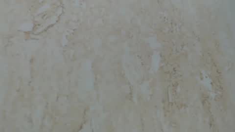 Mullty online show from January 8, 2025, 2:25 am