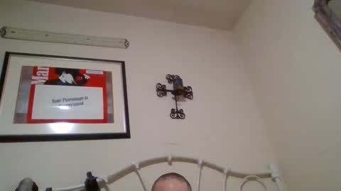 Snapshot of mustang2020gt123 chatting on February 4, 2026, 11:27 am mustang2020gt123 online show from February 4, 2026, 11:27 am