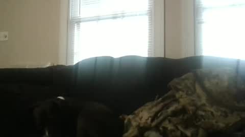 my_banana_creampies online show from February 19, 2026, 1:51 pm