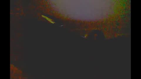 myassfatsowhat online show from January 5, 2025, 4:58 am