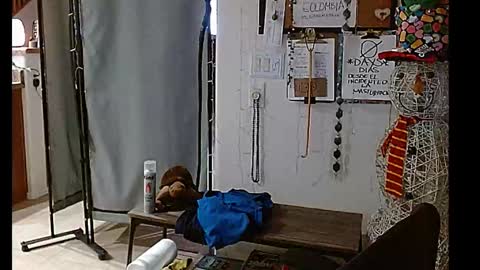 LA MARIPOSA DE MARICOPA online show from December 25, 2024, 10:50 am