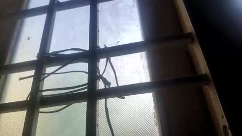 Mysolo1987 online show from April 7, 2026, 12:27 pm