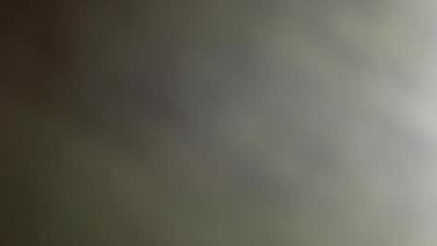 n0facen0case1 online show from January 11, 2025, 1:22 pm