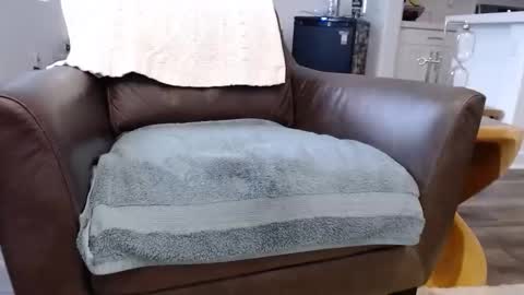 Lynn online show from November 10, 2025, 3:55 pm