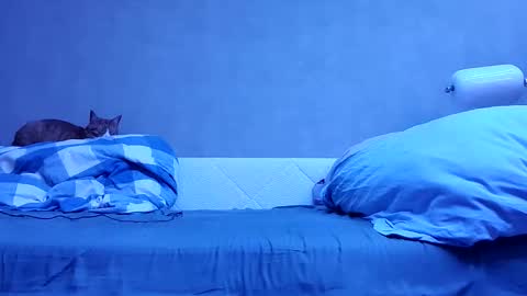 Snapshot of n3philim999 chatting on October 12, 2025, 10:09 pm n3philim999 online show from October 12, 2025, 10:09 pm