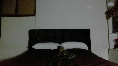 Nahomy online show from April 1, 2026, 2:23 am