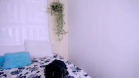 Snapshot of nataly_mcry chatting on April 25, 2026, 5:21 pm NATALY online show from April 25, 2026, 5:21 pm