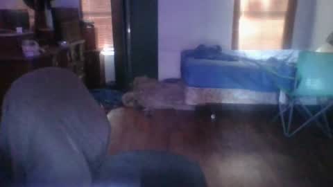 ned is naughty online show from June 24, 2026, 12:31 am