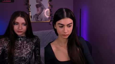 Meow online show from December 21, 2025, 10:33 am