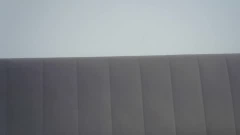 nelly_fortu online show from February 4, 2026, 11:38 am