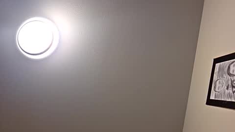 Nemz6666 online show from November 2, 2025, 9:22 am