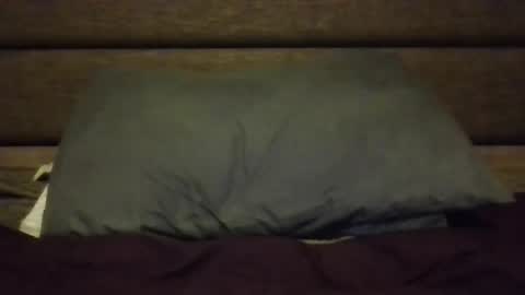 Nerfylil online show from January 8, 2026, 4:37 am